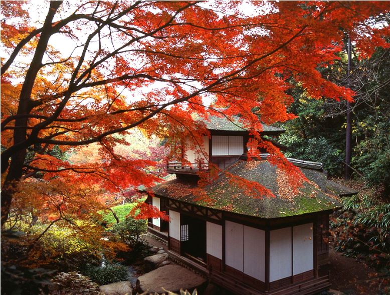 5天4晚大船渡．松島郵輪船票